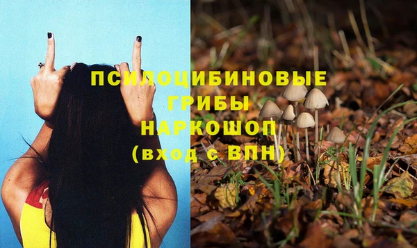 скорость Алзамай