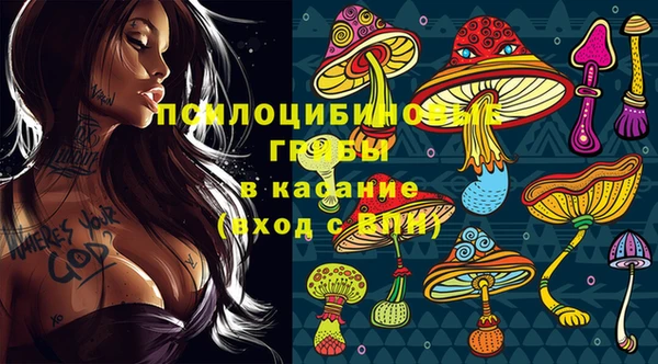 не бодяженный Осташков