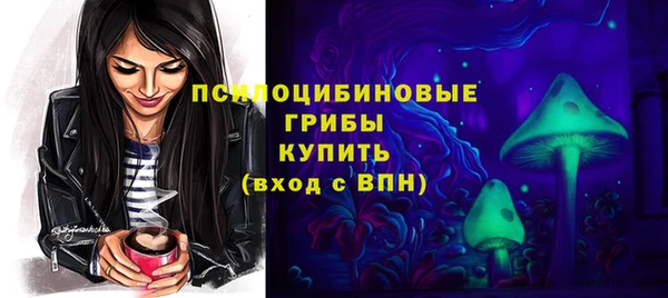 скорость Алзамай