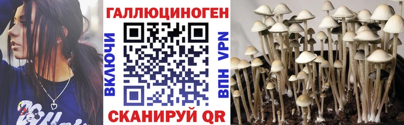 Галлюциногенные грибы Psilocybine cubensis  Павловская 